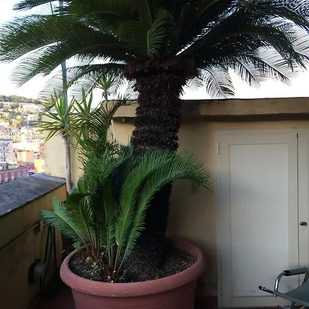 Casamiranapoli Bed & Breakfast